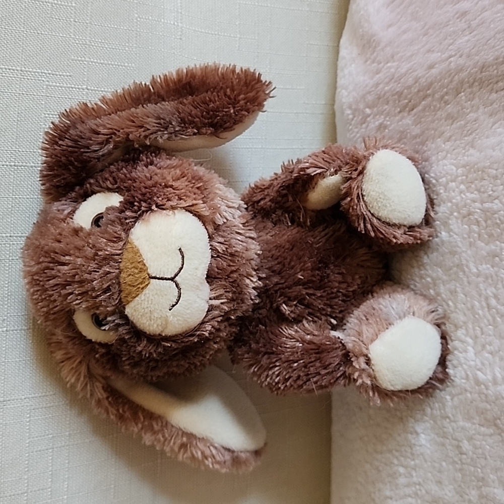 Build-A-Bear Smallfrys Chocolate Bunny